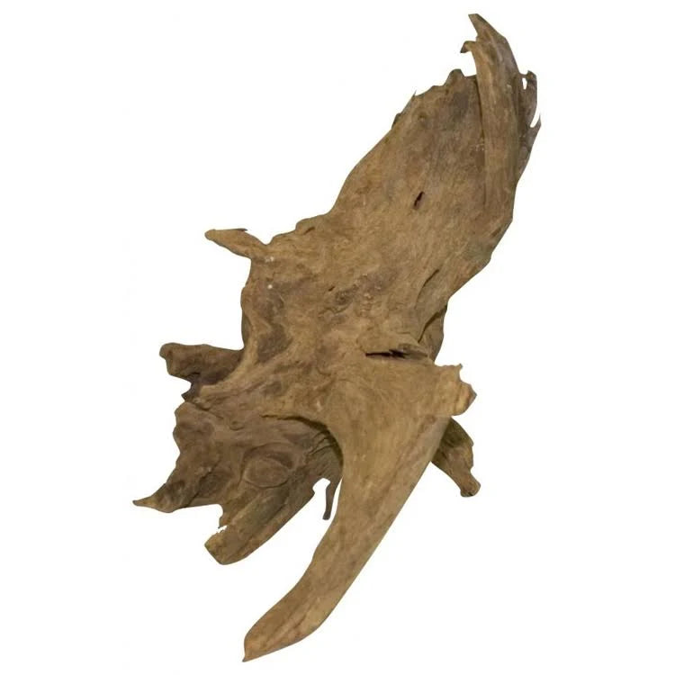 Malaiisches Holz – Treibholz für Aquarien Malaiisches Holz – Treibholz für Aquarien