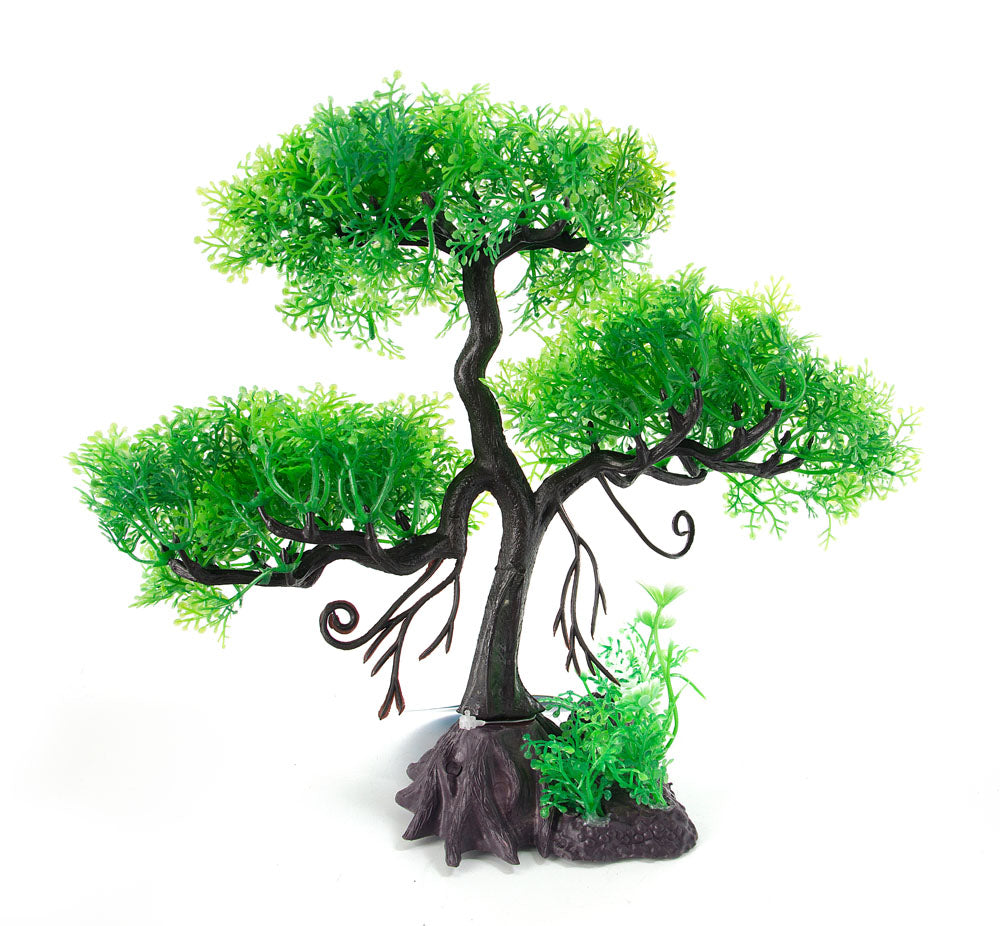 Aufrechter Bonsai aus grüner Zeder – Plastikpflanze Aufrechter Bonsai aus grüner Zeder – Plastikpflanze