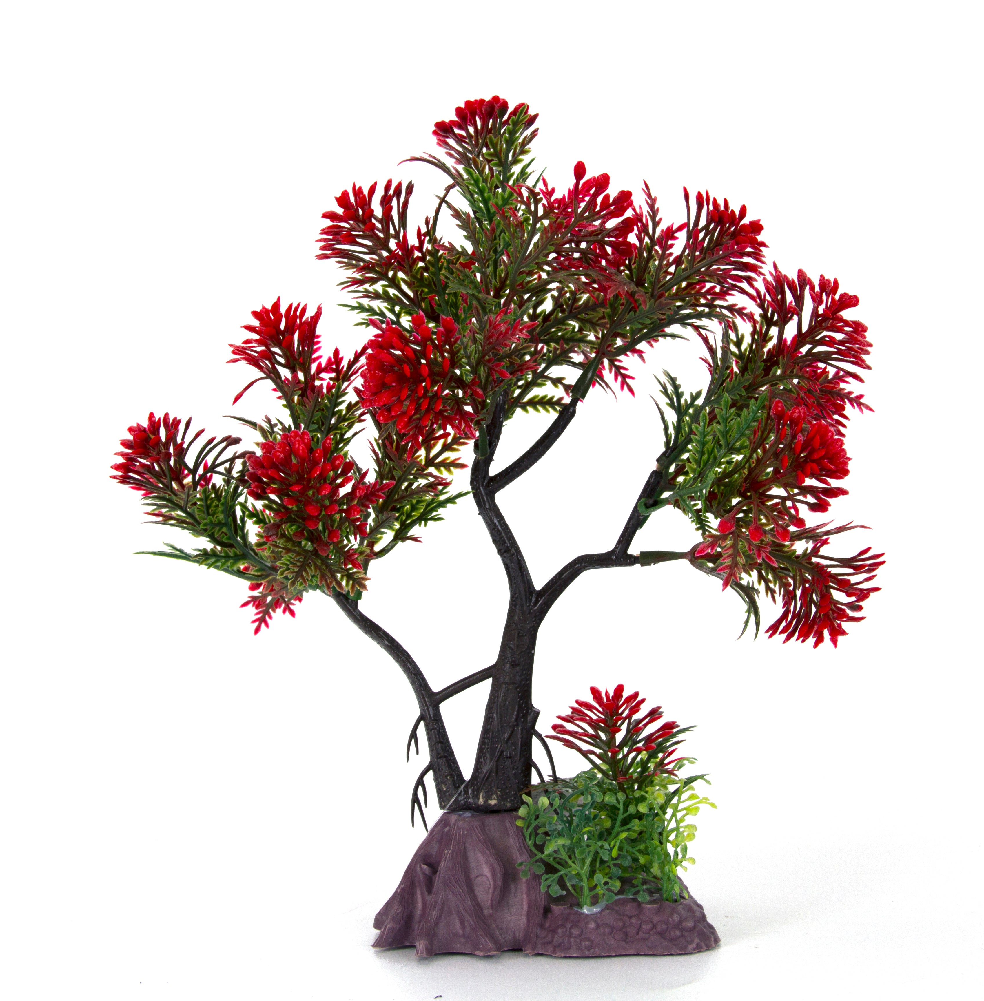 Bonsai aus roter Kiefer – Plastikpflanze Bonsai aus roter Kiefer – Plastikpflanze