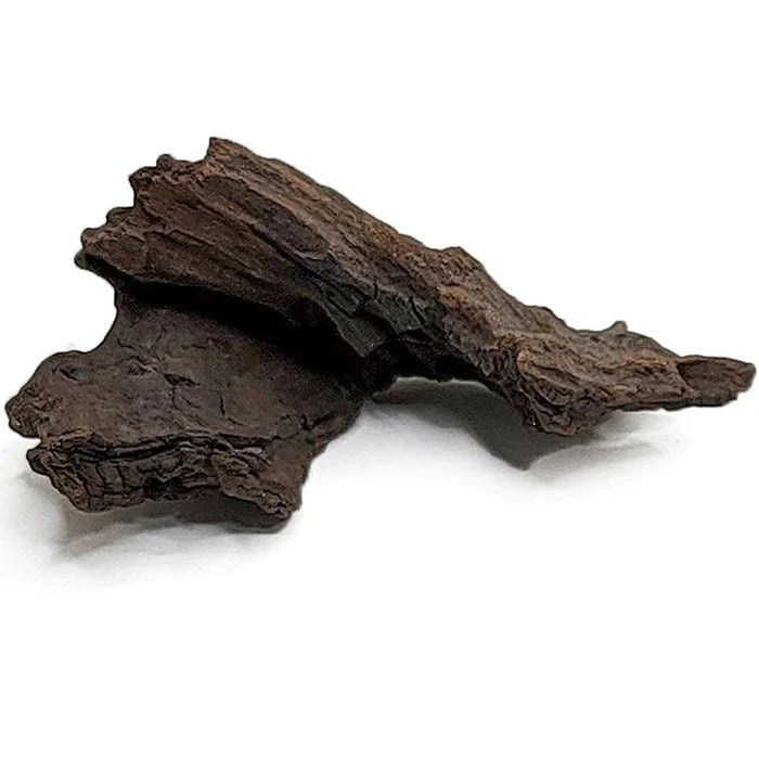 Schwarzes Holz – Treibholz für Aquarien Schwarzes Holz – Treibholz für Aquarien